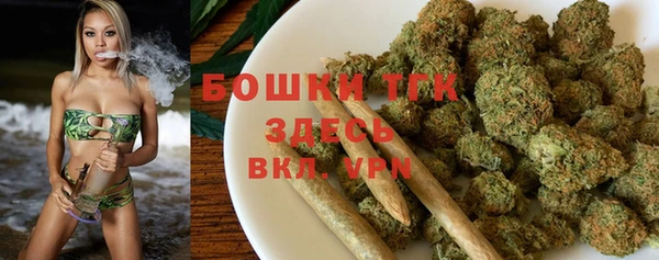 ПСИЛОЦИБИНОВЫЕ ГРИБЫ Верхний Тагил