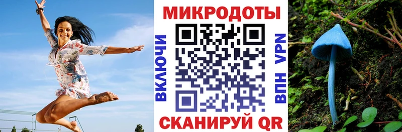 Галлюциногенные грибы MAGIC MUSHROOMS  даркнет сайт  Каменск-Шахтинский 